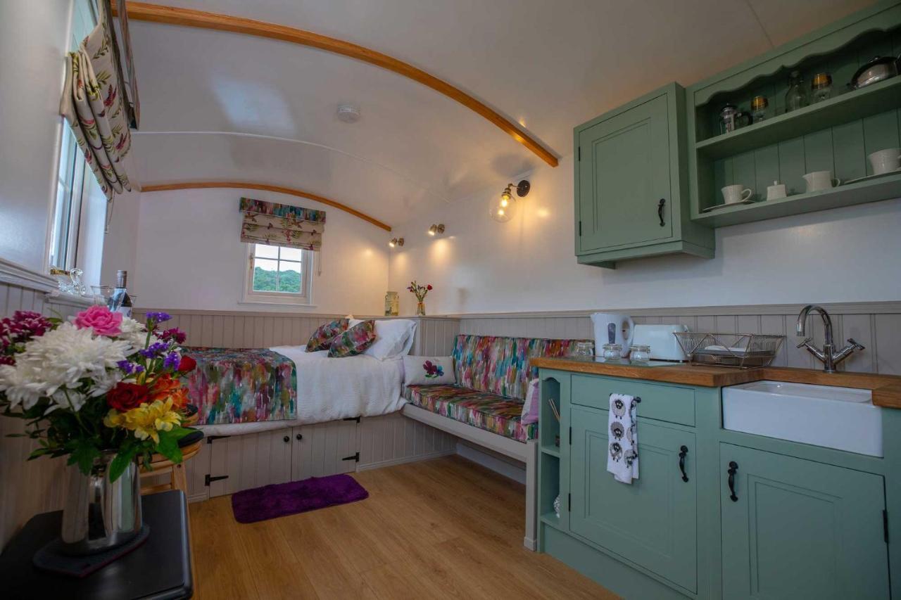 Shepherd Hut Bird Enniskillen, Fermanagh Exterior photo
